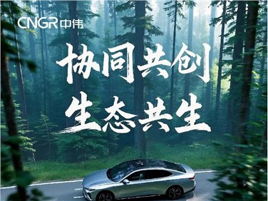 協(xié)同共創(chuàng) 生態(tài)共生 | 一圖讀懂中偉股份2024年年報 