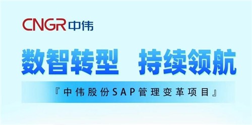 一圖讀懂｜中偉股份SAP管理變革